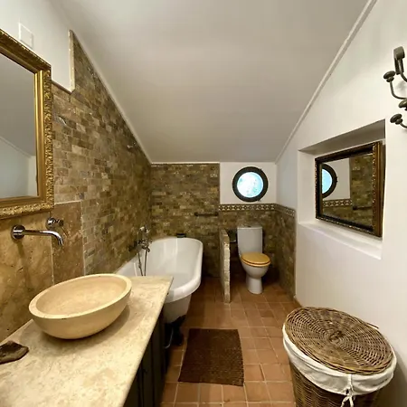 Maison Entiere 5 Min Du Centre D'avignon Les Angles (Gard)